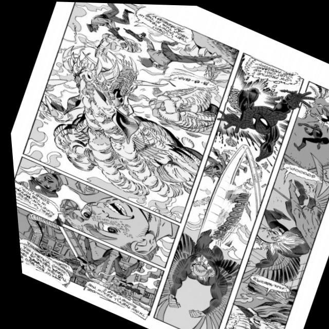 Dataset Image