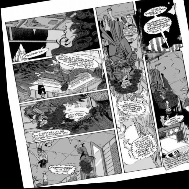 Dataset Image