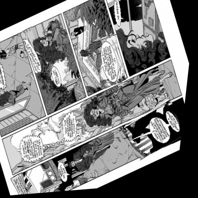 Dataset Image