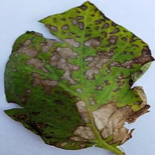 Dataset Image