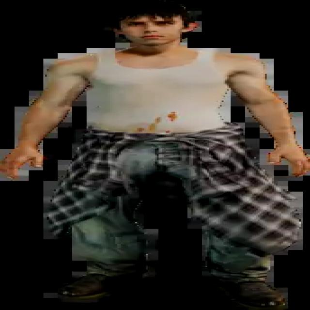 Dataset Image