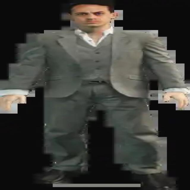 Dataset Image