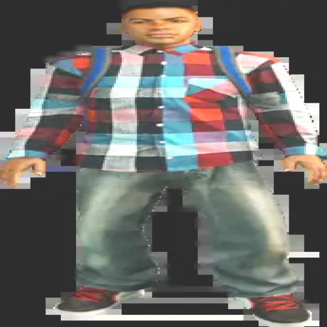 Dataset Image