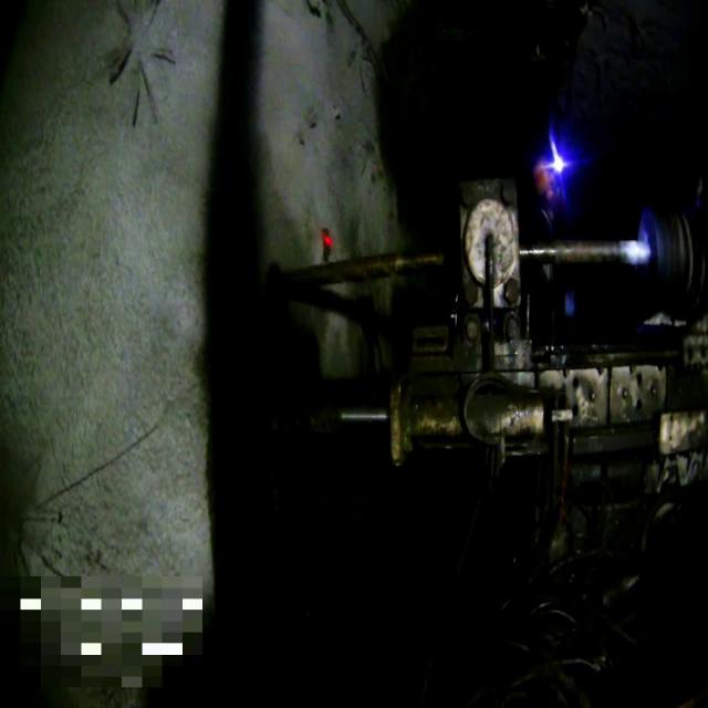Dataset Image