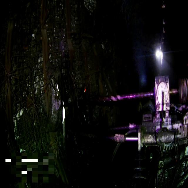 Dataset Image