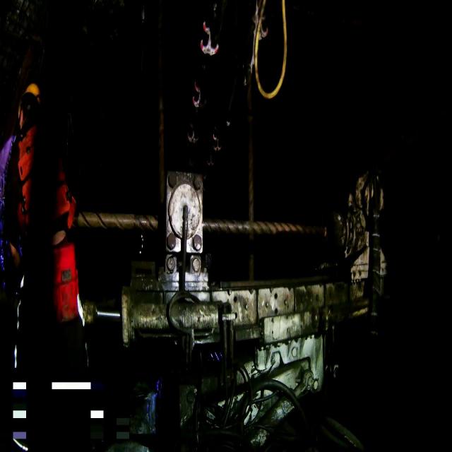 Dataset Image
