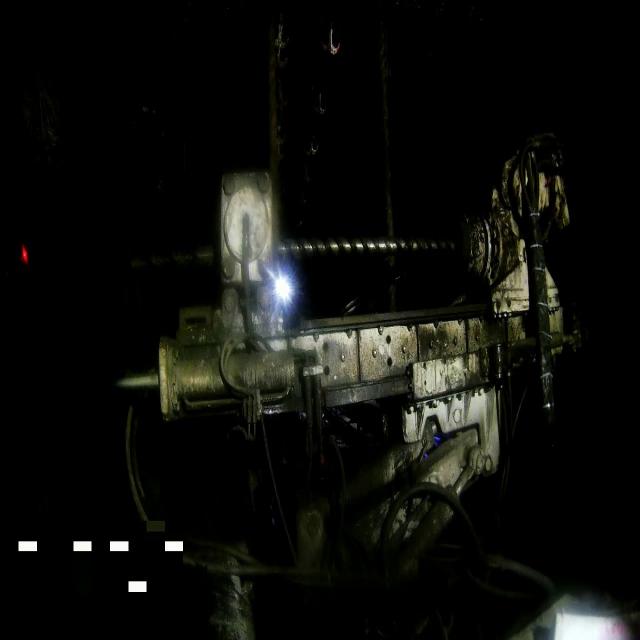 Dataset Image