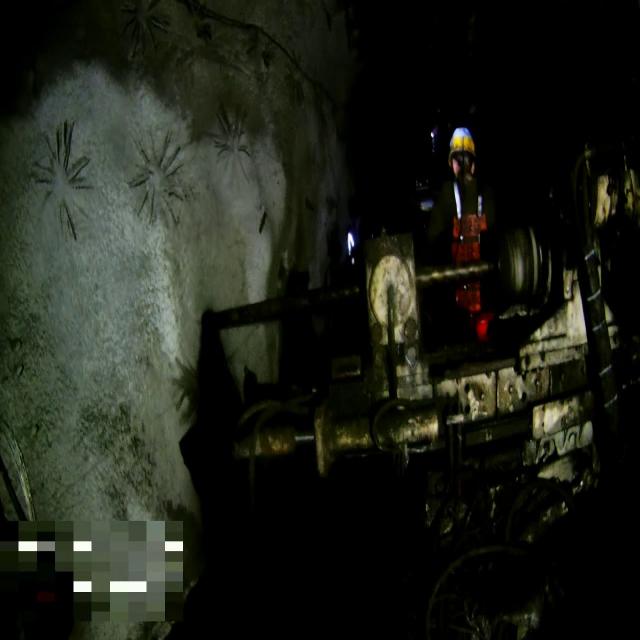 Dataset Image