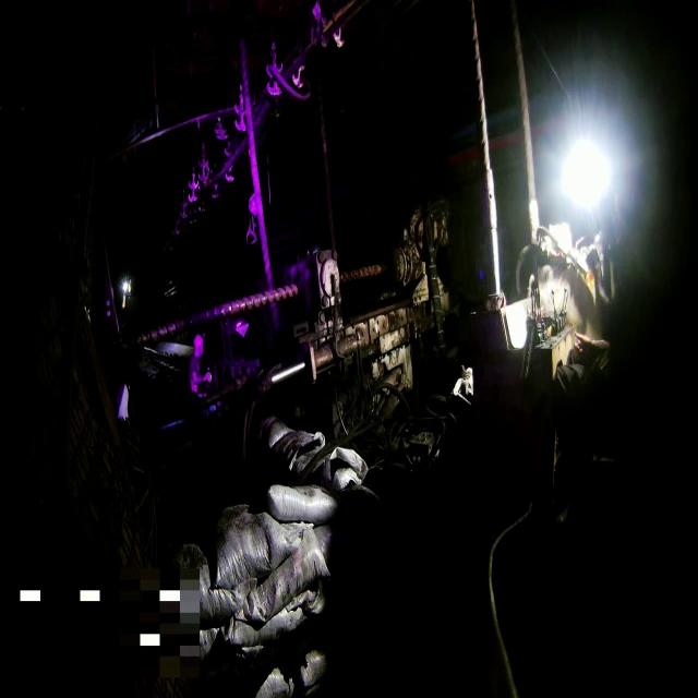 Dataset Image