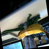 Dataset Image