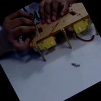 Dataset Image