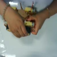 Dataset Image