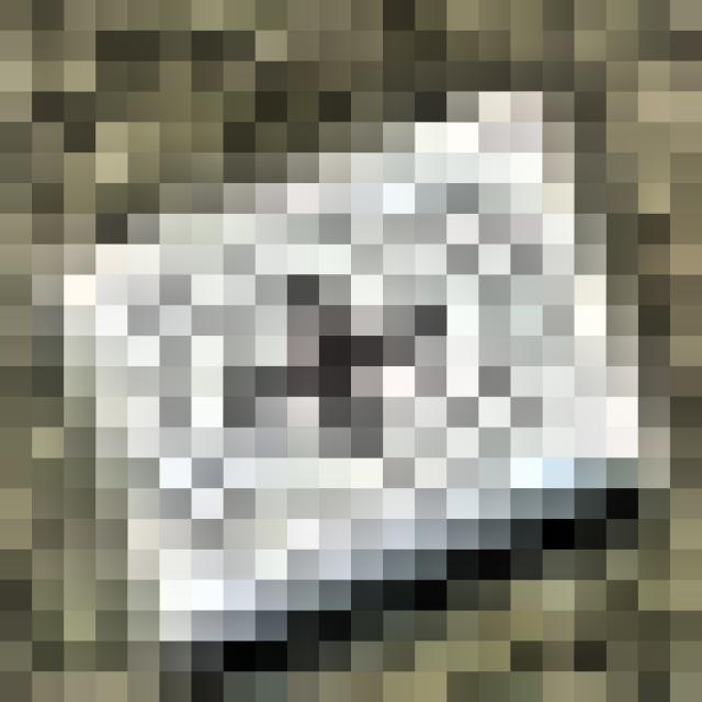 Dataset Image