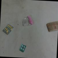 Dataset Image