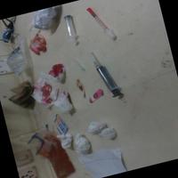 Dataset Image