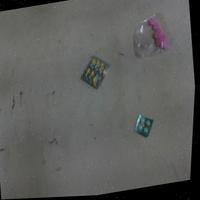 Dataset Image