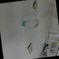 Dataset Image