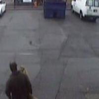 Dataset Image