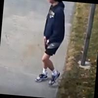 Dataset Image