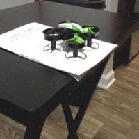 Dataset Image