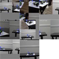 Dataset Image