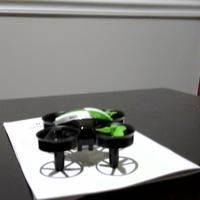 Dataset Image