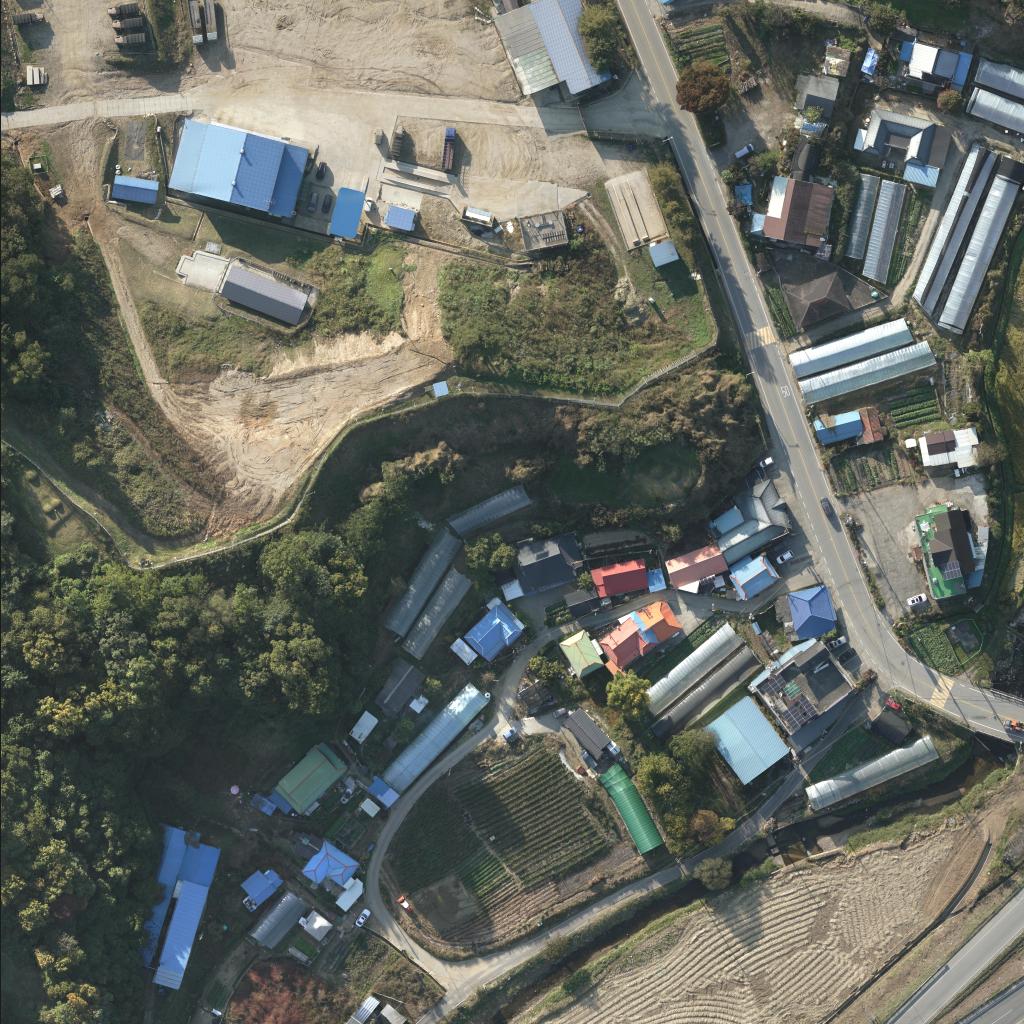 Dataset Image