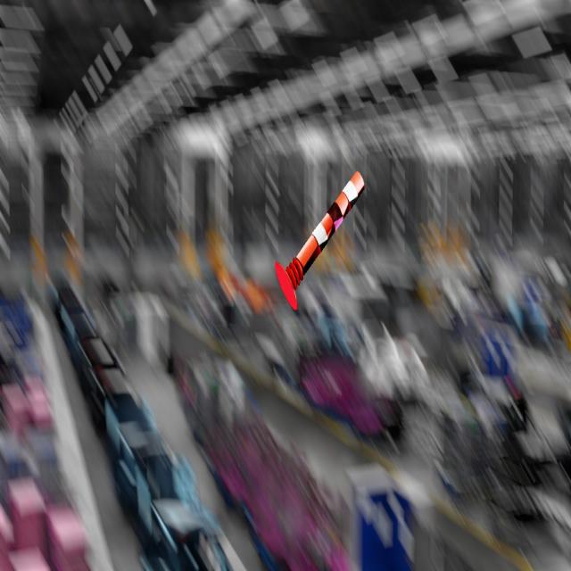 Dataset Image