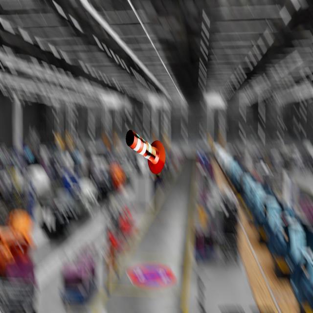Dataset Image