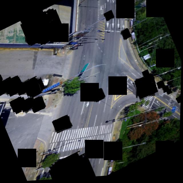 Dataset Image