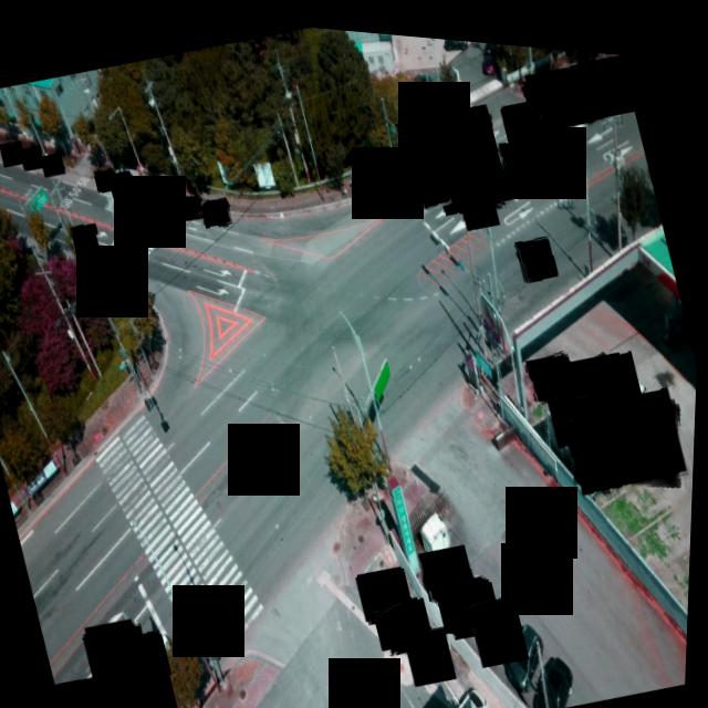 Dataset Image