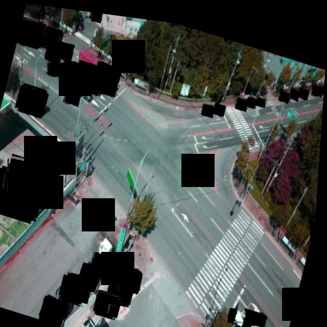 Dataset Image