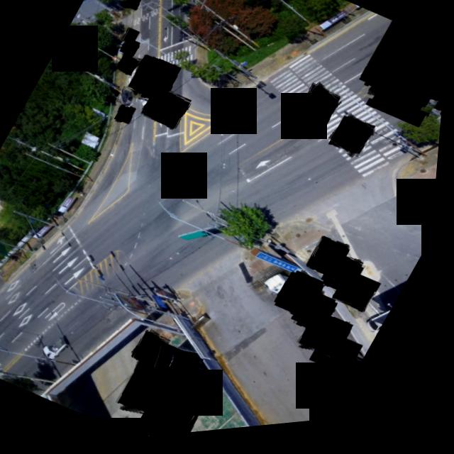 Dataset Image