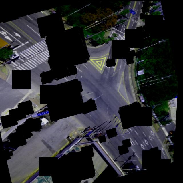 Dataset Image