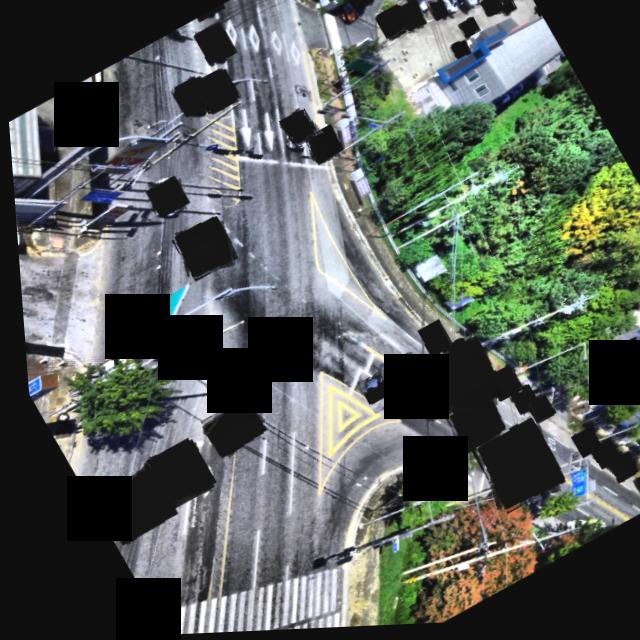 Dataset Image