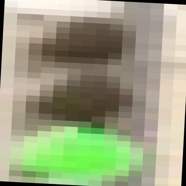 Dataset Image