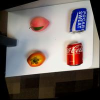 Dataset Image