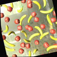 Dataset Image