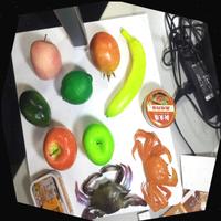 Dataset Image