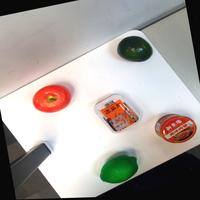 Dataset Image