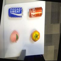 Dataset Image