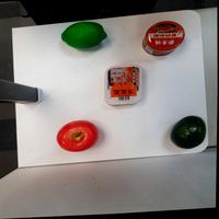 Dataset Image