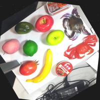 Dataset Image