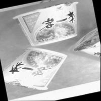 Dataset Image