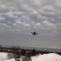 Dataset Image