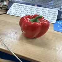 Dataset Image