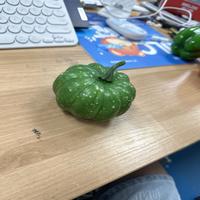 Dataset Image
