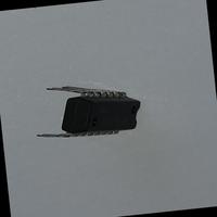 Dataset Image