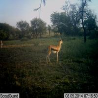 Dataset Image