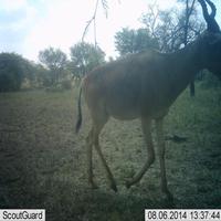 Dataset Image